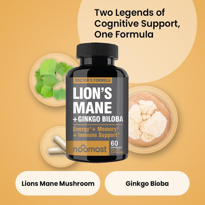 Melena de León con Ginkgo Biloba | Energia, enfoque y claridad