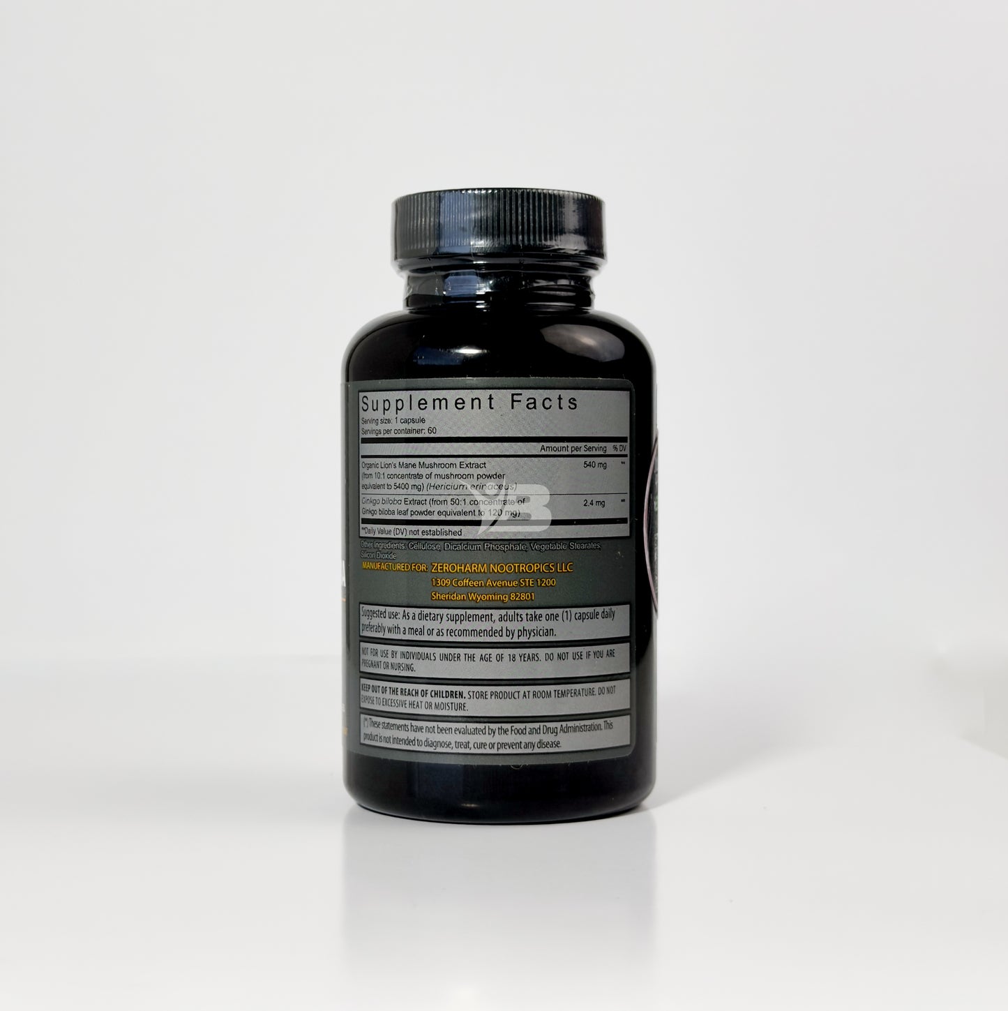 Melena de León con Ginkgo Biloba | Energia, enfoque y claridad