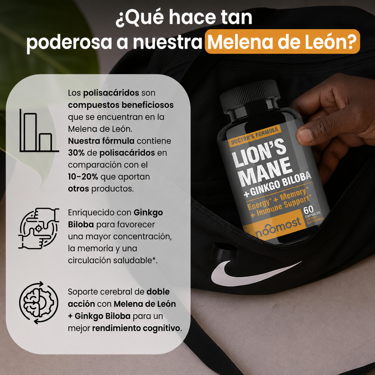 Melena de León con Ginkgo Biloba | Energia, enfoque y claridad