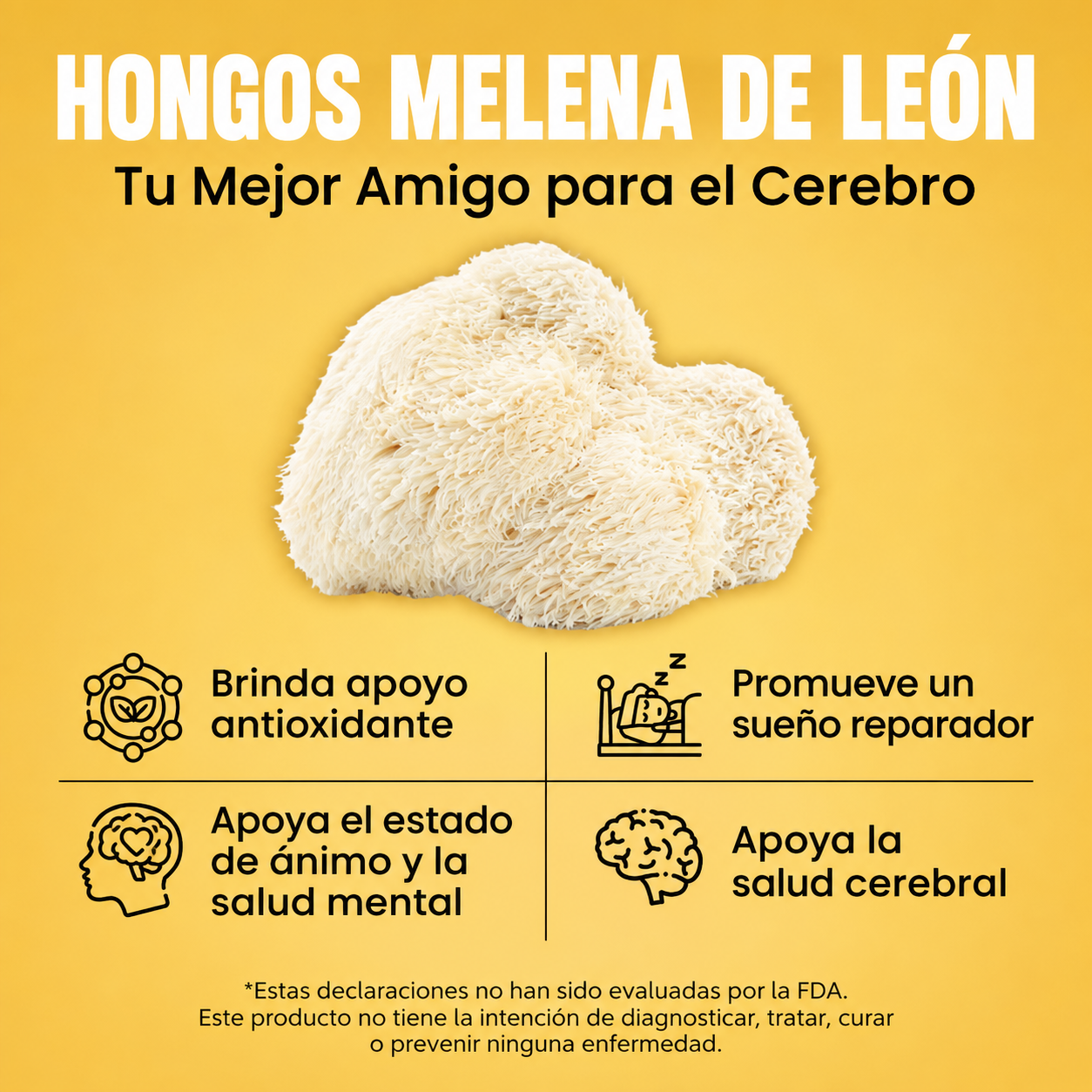 Melena de León con Ginkgo Biloba | Energia, enfoque y claridad