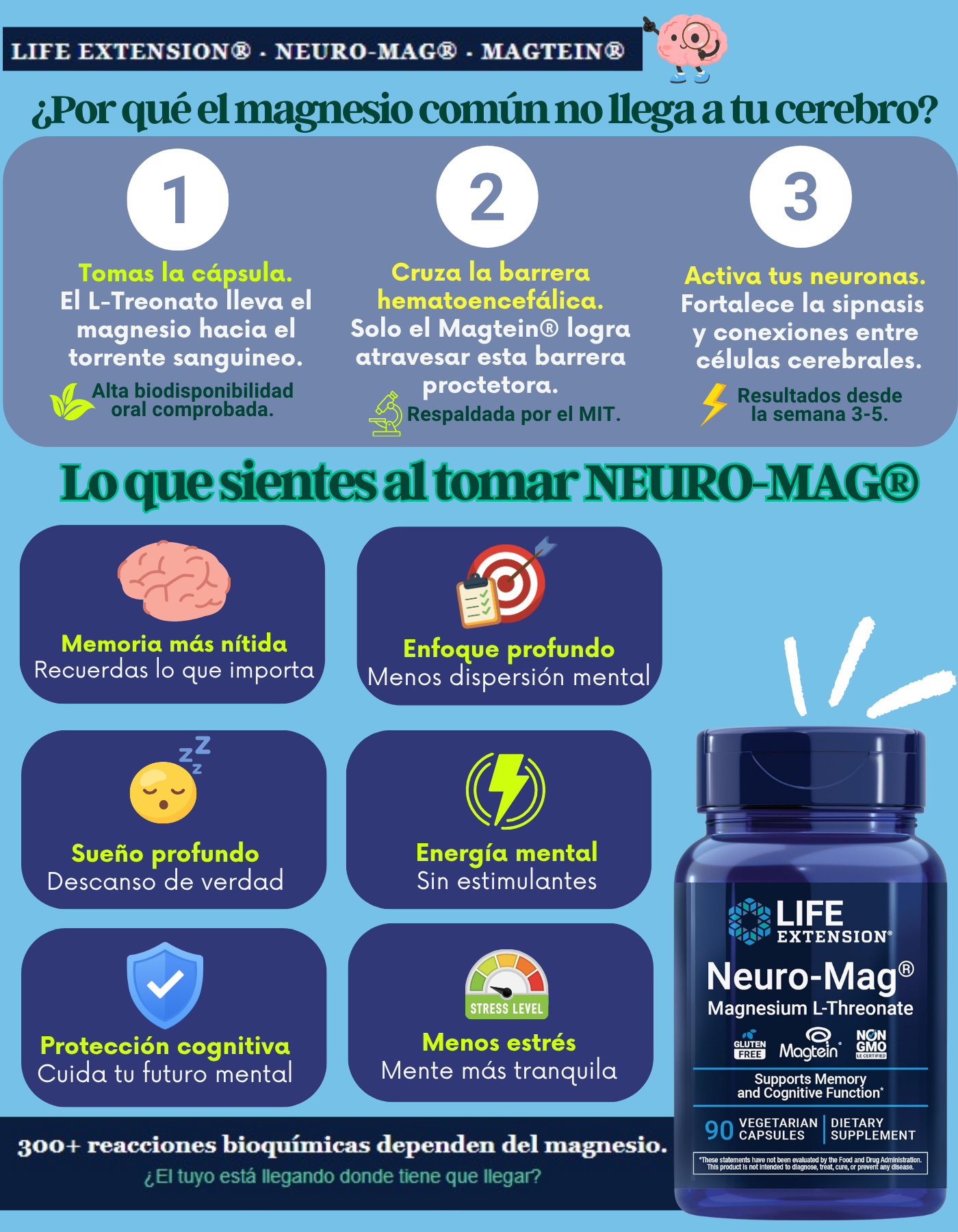 Salud Cerebral: Treonato de Magnesio Patentado