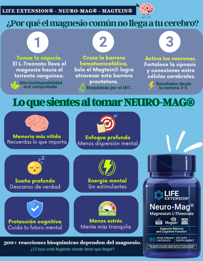 Salud Cerebral: Treonato de Magnesio Patentado