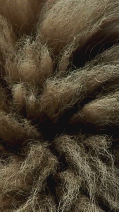 Lion's Mane Toniiq - Melena de León | Extracto 10:1 de ultra alta potencia con polisacáridos al 30% - altamente concentrado y bioactivo