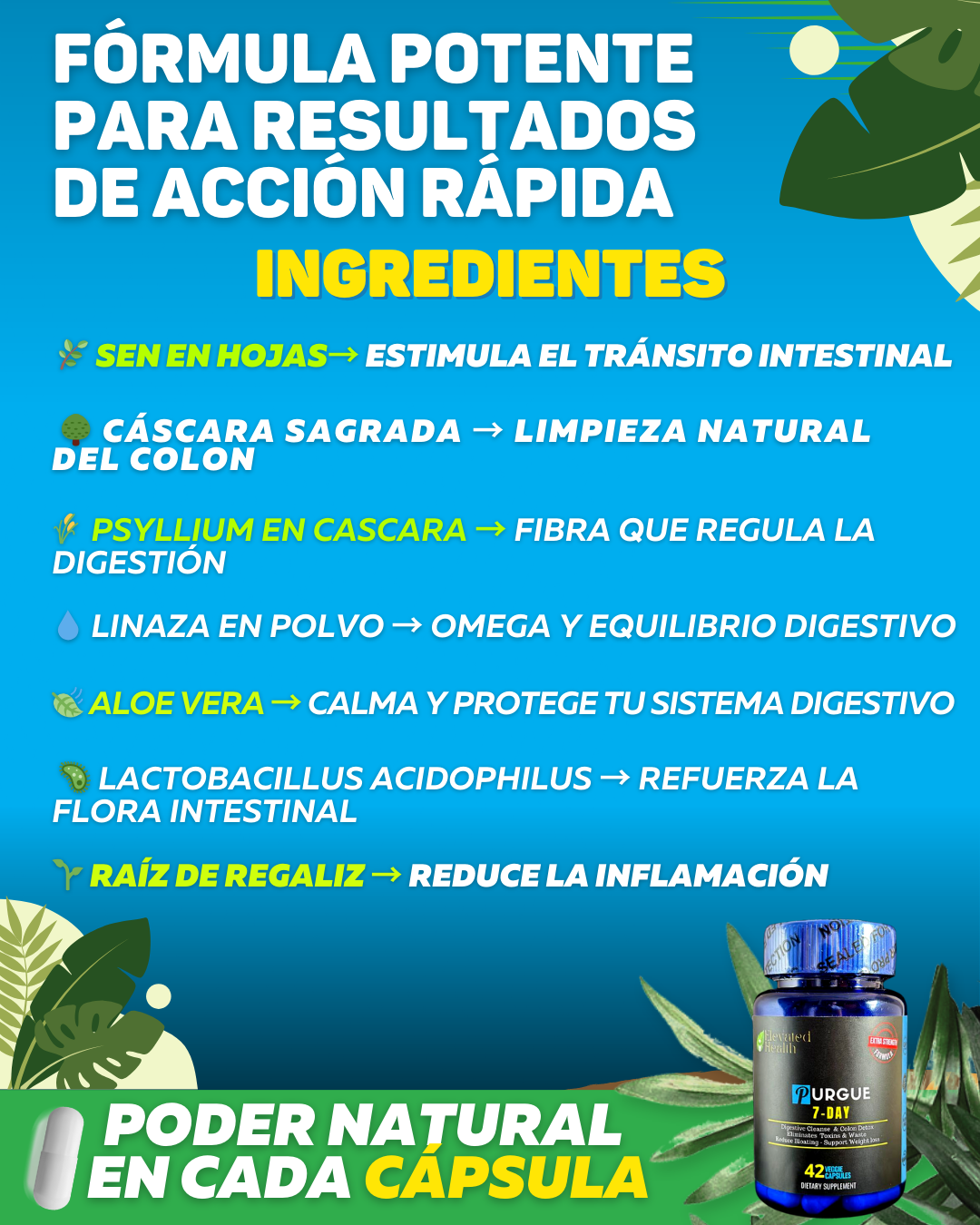 Purgante Natural PURGUE | Tratamiento 7 días | 42 caps